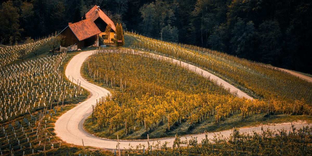 Špiček, Slovenija