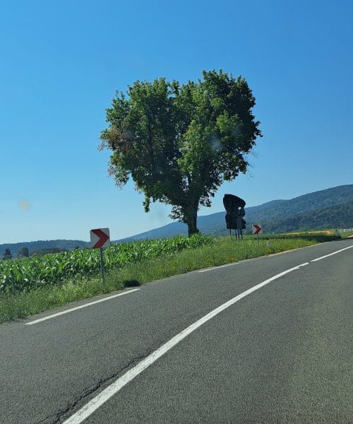 Mimo tega nenavadnega spomenika v Beli krajini se peljejo številni, le redki vedo, kaj predstavlja