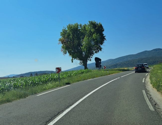 Mimo tega nenavadnega spomenika v Beli krajini se peljejo številni, le redki vedo, kaj predstavlja