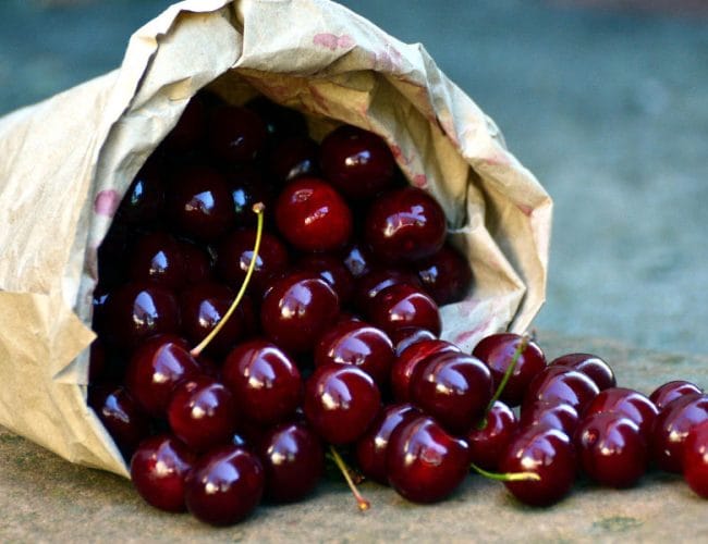 Pri Zadru raste posebna višnja, zaradi katere je mesto dišalo po svetu