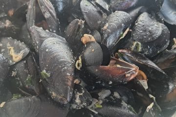 Poletna klasika: dagnje na buzaro po receptu, ki vedno uspe