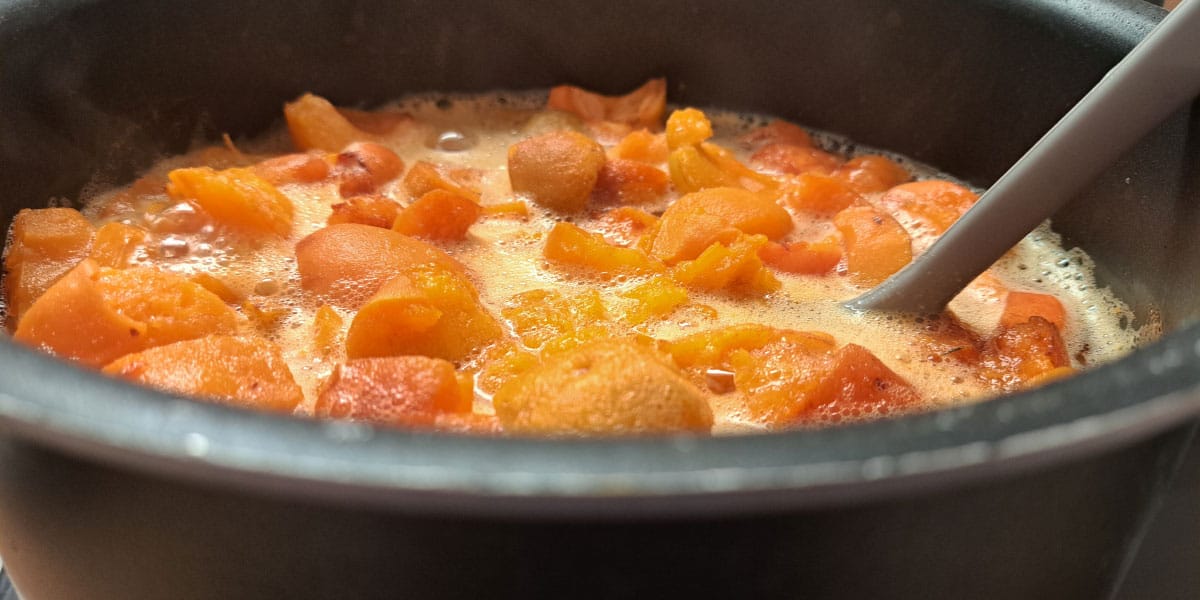 Kuhanje marelične marmelade