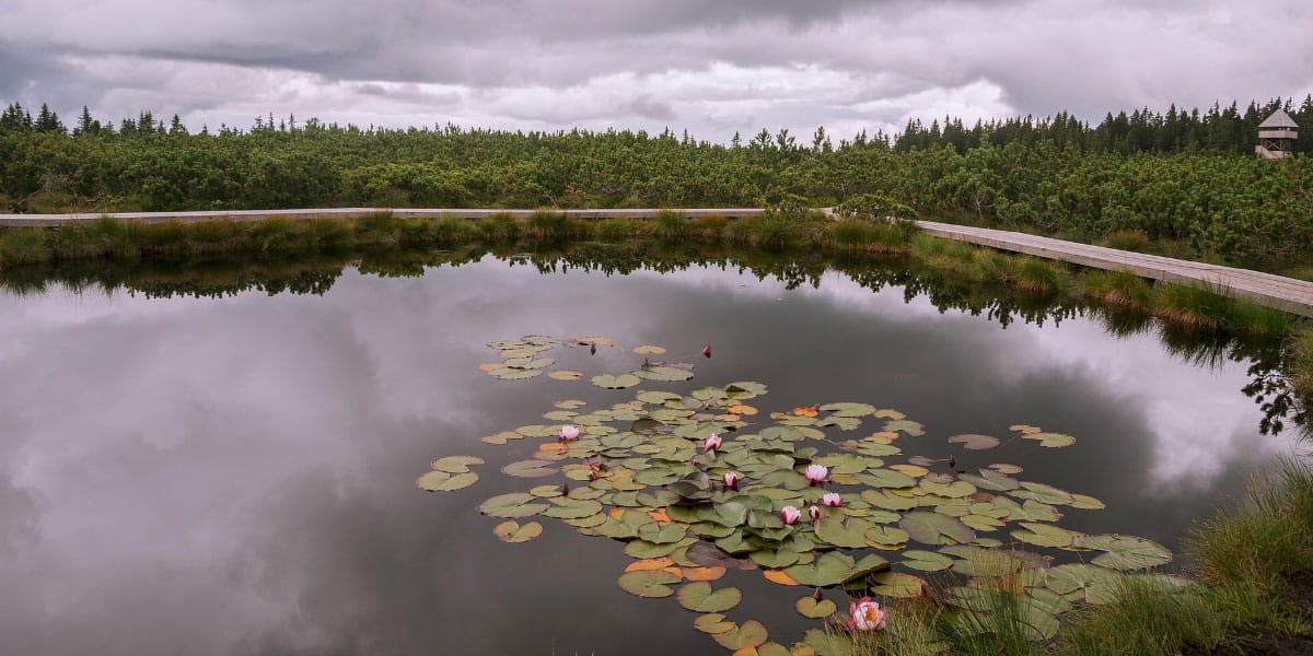 Pohorje, Lovrenška jezera