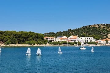 Ste že opazili te bele jadrnice? Za njimi se skriva lepa poletna zgodba