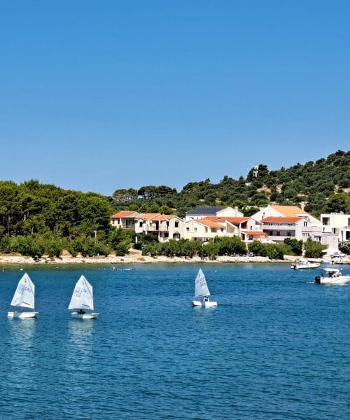 Ste že opazili te bele jadrnice? Za njimi se skriva lepa poletna zgodba