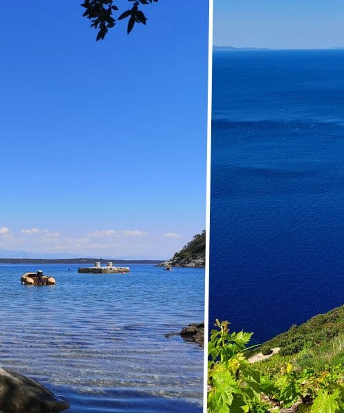 Morje v Istri je lahko toplejše kakor južneje: razlog se skriva v plitvini, vetru in tokovih