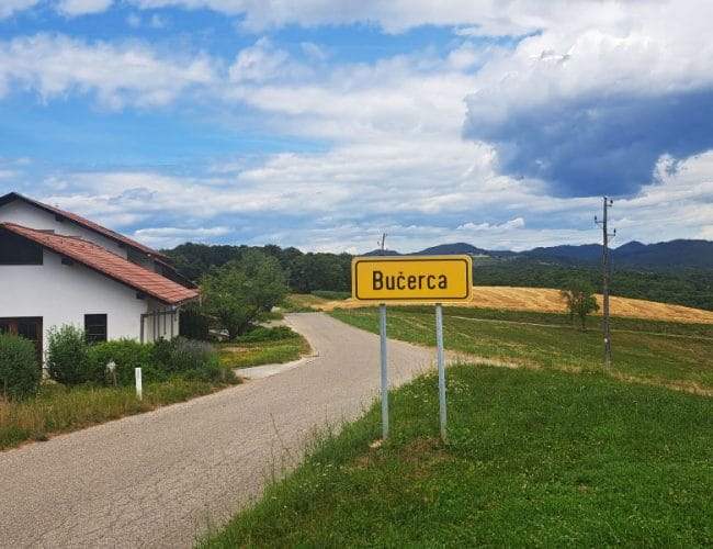 V Sloveniji imamo štiri naselja z “Buče” v imenu