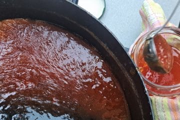 Najboljši recept za marelično marmelado: tako ostane dišeča, žametna in lepe barve