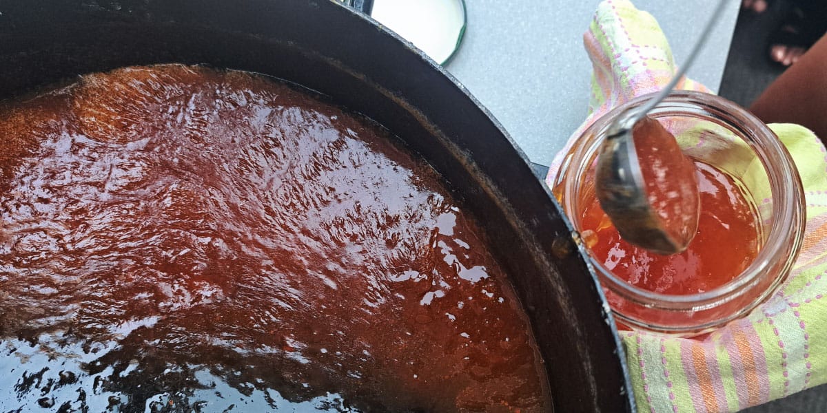 Najboljši recept za marelično marmelado: tako ostane dišeča, žametna in lepe barve