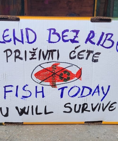 Ribič z Murterja spet nasmejal turiste: “Vikend brez ribe, preživeli boste”