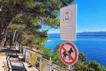 Pred plažo ste zagledali tak znak? Pomeni, da velja posebno pravilo