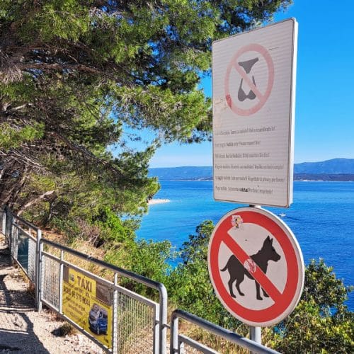 Pred plažo ste zagledali tak znak? Pomeni, da velja posebno pravilo
