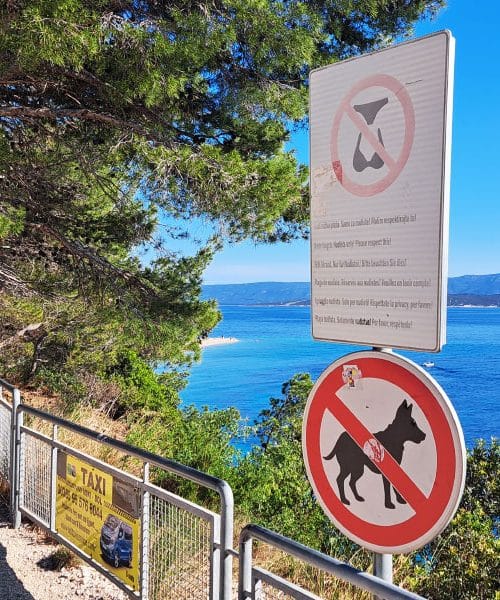 Pred plažo ste zagledali tak znak? Pomeni, da velja posebno pravilo