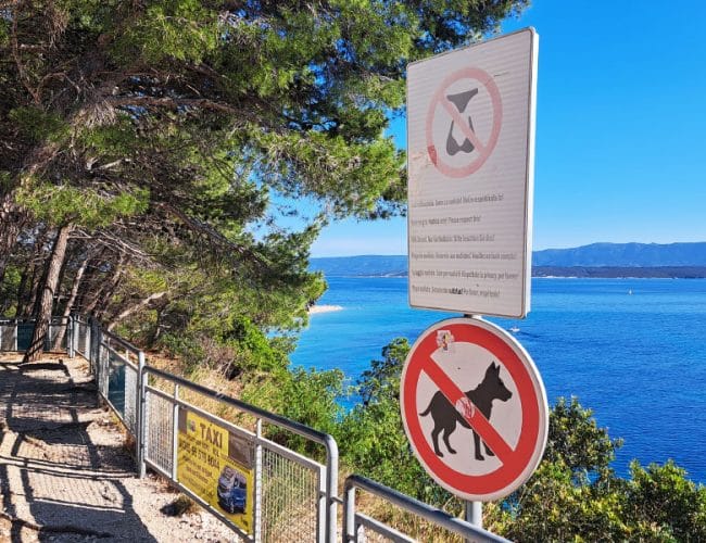 Pred plažo ste zagledali tak znak? Pomeni, da velja posebno pravilo