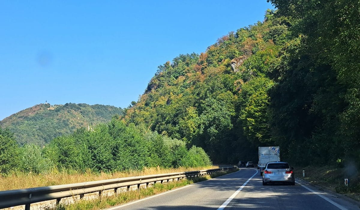 Barve gozda, ko zmanjka dežja