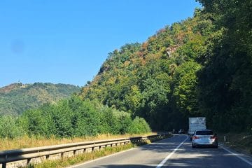 Kaj se dogaja z gozdom, ko manjka dežja: znaki, ki jih zdaj opazimo na drevesih