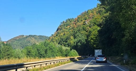 Kaj se dogaja z gozdom, ko manjka dežja: znaki, ki jih zdaj opazimo na drevesih