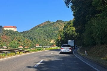 Gozdovi so sredi avgusta ponekod videti kot oktobra – trije razlogi, zakaj
