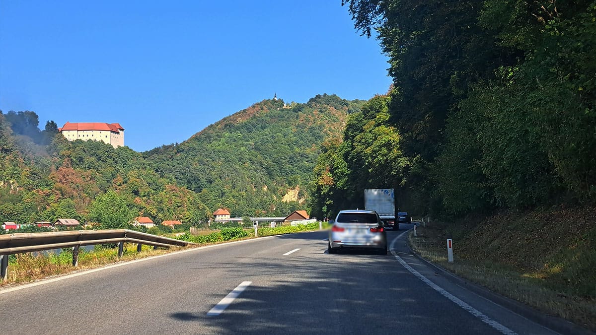 Gozdovi so sredi avgusta ponekod videti kot oktobra – trije razlogi, zakaj
