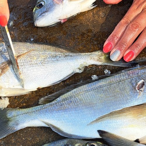 Nekateri ribiči luske z ribe odstranijo kar z vilicami: trik je lahko hitrejši od noža