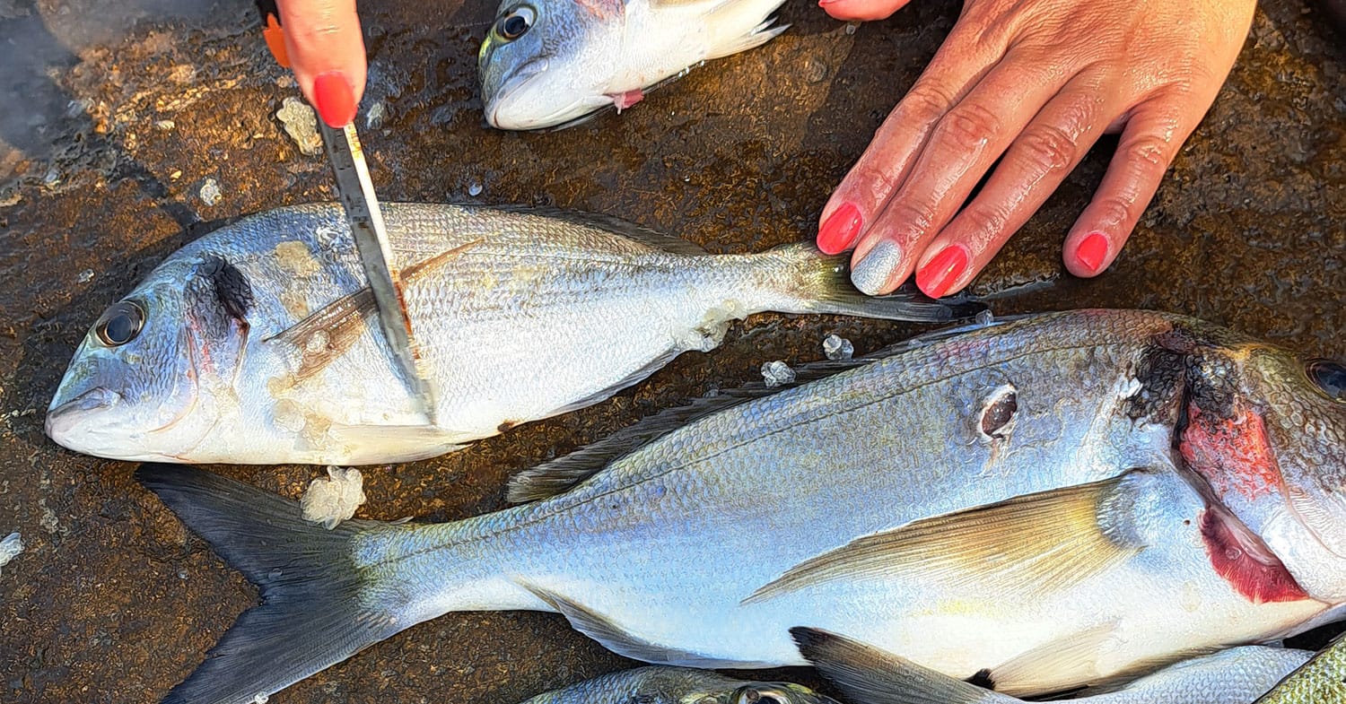 Nekateri ribiči luske z ribe odstranijo kar z vilicami: trik je lahko hitrejši od noža