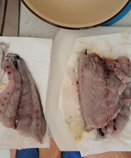 Ribji file na ponvi bo boljši, če ga pred peko dobro osušite