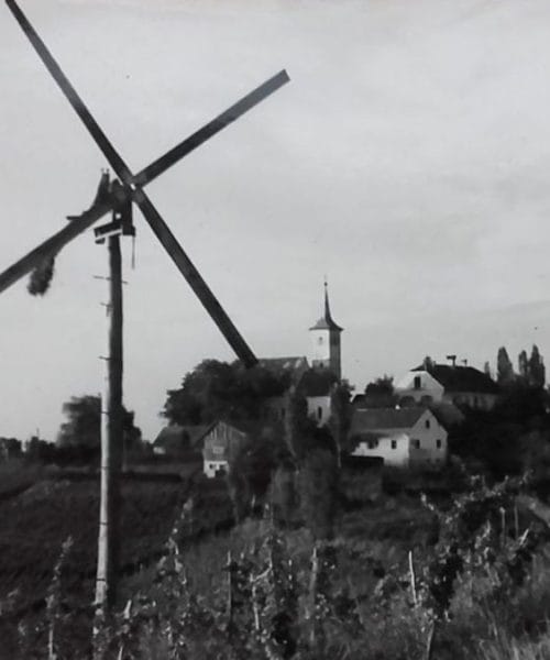 V teh dneh so se po vinogradih oglasili klopotci: čemu pravzaprav služijo?