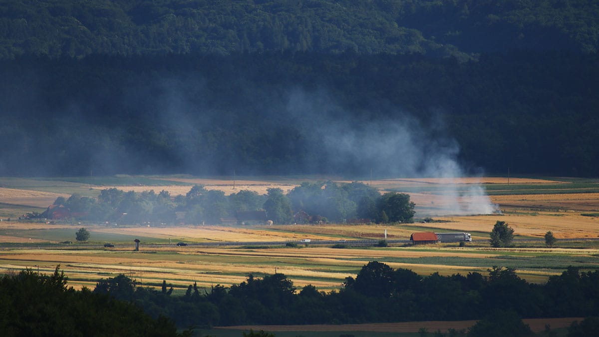Kerinov Grm, Krško