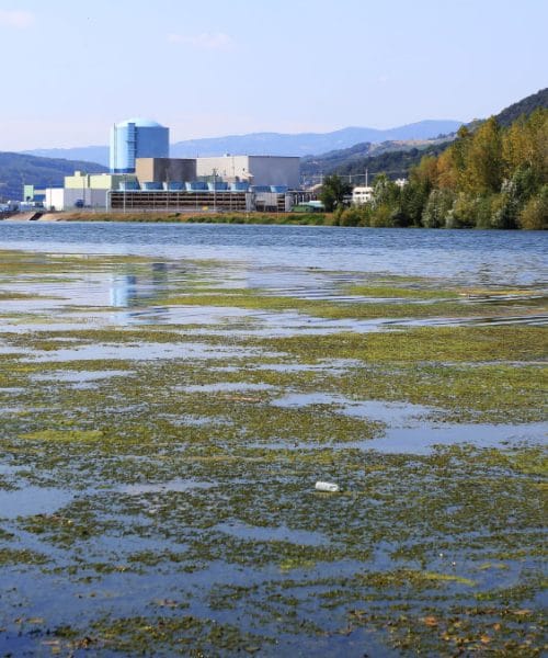 Ob NEK se je pokazal nenavaden prizor, vendar je razlog povsem pričakovan