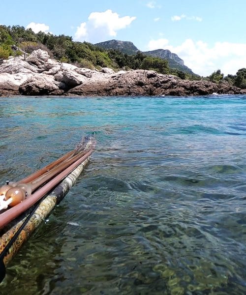 Nova pravila za ribolov na Hrvaškem: koliko rib in hobotnic lahko obdržite?