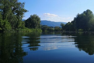 Krka pri Brežicah ni  ista reka kot pri Novem mestu: zakaj se značaj spremeni?