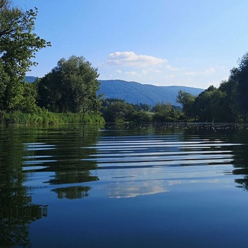 Krka pri Brežicah ni  ista reka kot pri Novem mestu: zakaj se značaj spremeni?