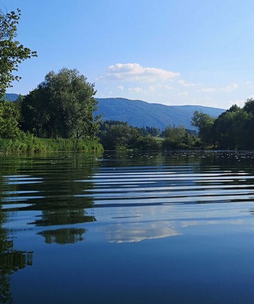Krka pri Brežicah ni  ista reka kot pri Novem mestu: zakaj se značaj spremeni?