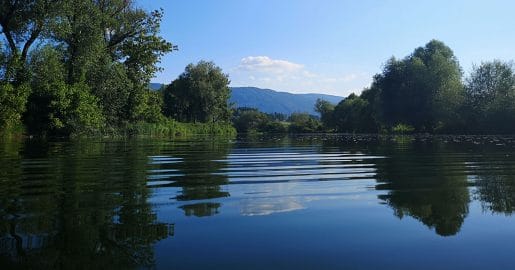 Krka pri Brežicah ni  ista reka kot pri Novem mestu: zakaj se značaj spremeni?