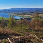 Pretočna akumulacija hidroelektrarne Brežice