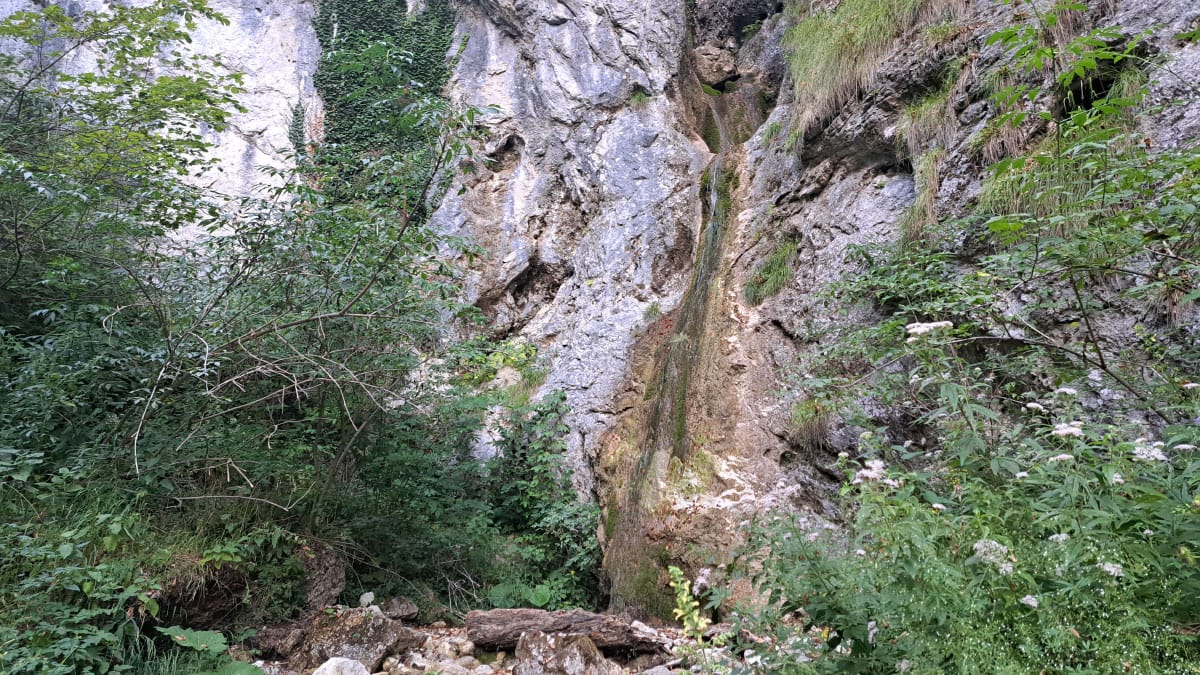 Slap Ubijavnik na Bohorju: skriti kotiček, kjer je tudi sredi poletne vročine prijetno hladno
