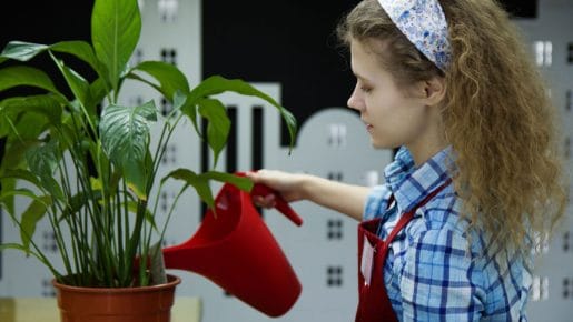 Odhajate na dopust? Tako bodo lončnice preživele brez vas
