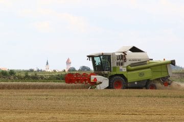 Zakaj so letos kmetje prej začeli z žetvijo: vročina je premaknila koledar