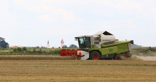Zakaj so letos kmetje prej začeli z žetvijo: vročina je premaknila koledar