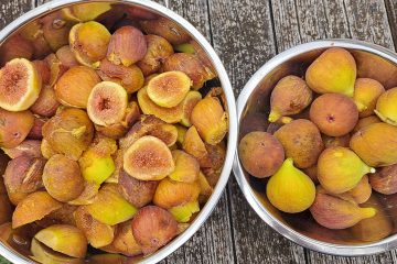 Imate letos preveč fig? Uporabite jih, preden začnejo propadati