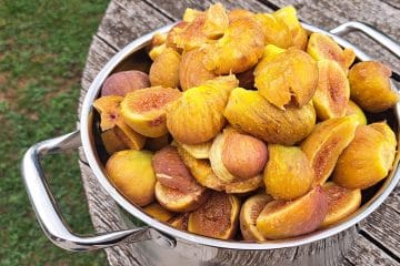 Fige zorijo hitreje, kot jih lahko pojemo: tako jih shranite brez kuhanja marmelade