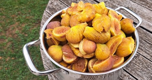 Fige zorijo hitreje, kot jih lahko pojemo: tako jih shranite brez kuhanja marmelade