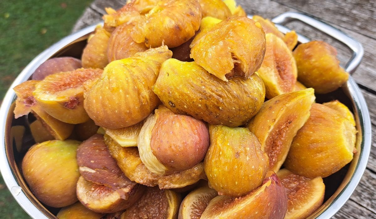 Fige za marmelado