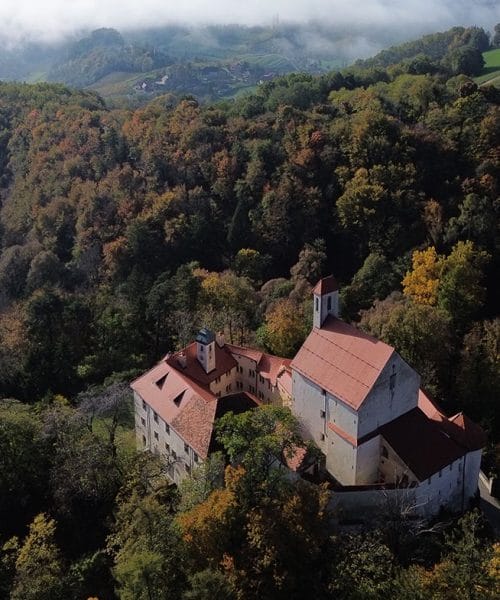 Grad Pišece po dolgem času odpira vrata za javnost