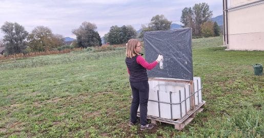 Kako narediti enostavno past za smrdljivce? Jeseni se spet približujejo hišam