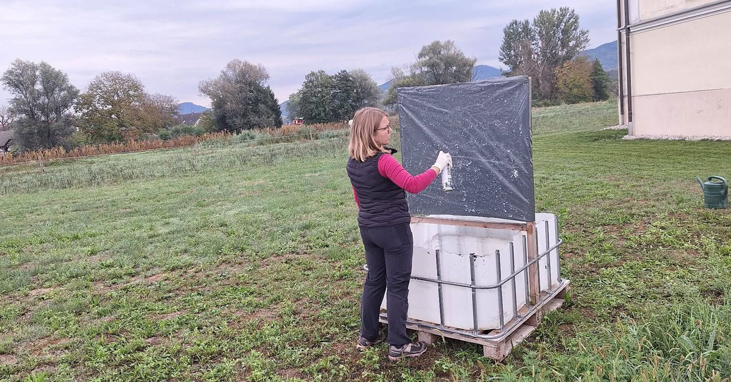 Kako narediti enostavno past za smrdljivce? Jeseni se spet približujejo hišam