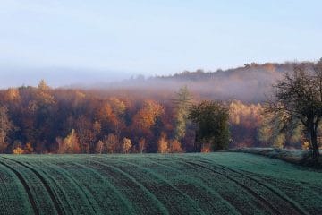 Jutra bodo vse hladnejša. Kdaj je čas, da iz omare vzamemo toplejšo jakno?