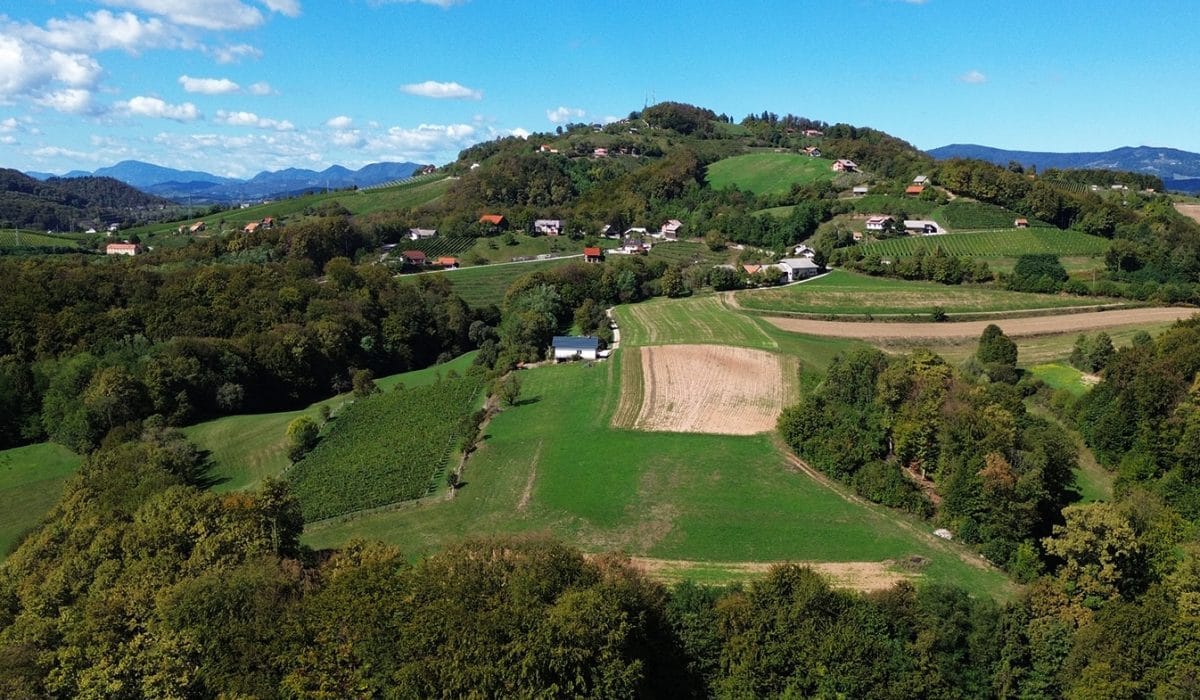 Njive v Sloveniji, Foto: Vse za moj dan