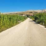 Otok Pag in bambusi, Foto: Vse za moj dan