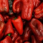 Paprike za ajvar, Foto: Pexels
